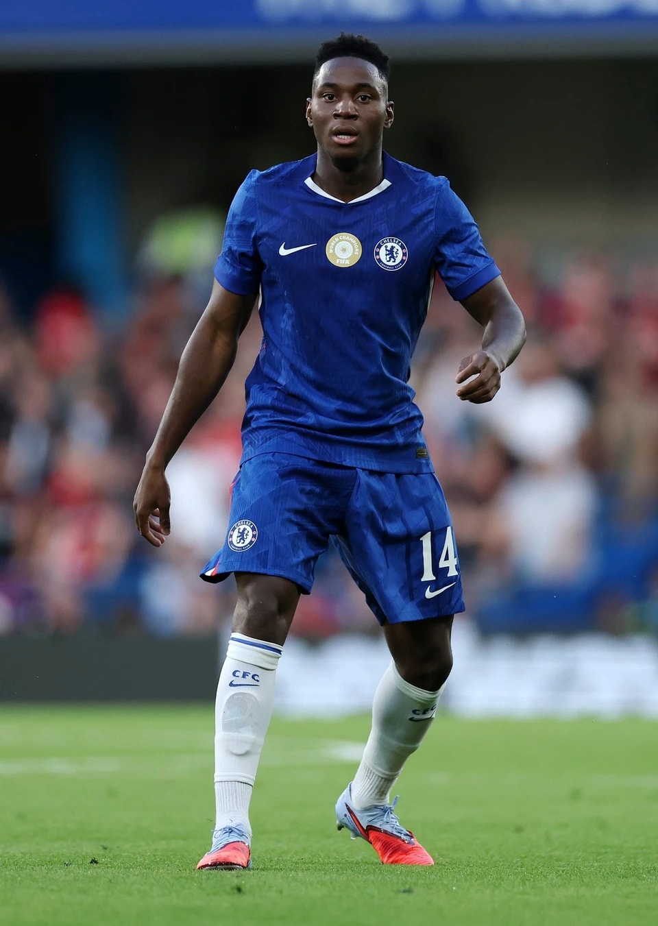 葡萄牙足协 葡萄牙足协