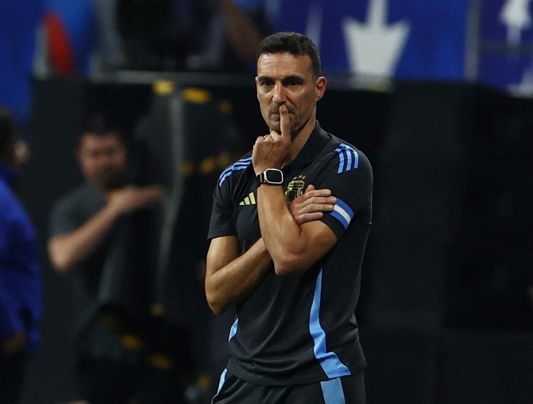 我们决定不 我们决定不