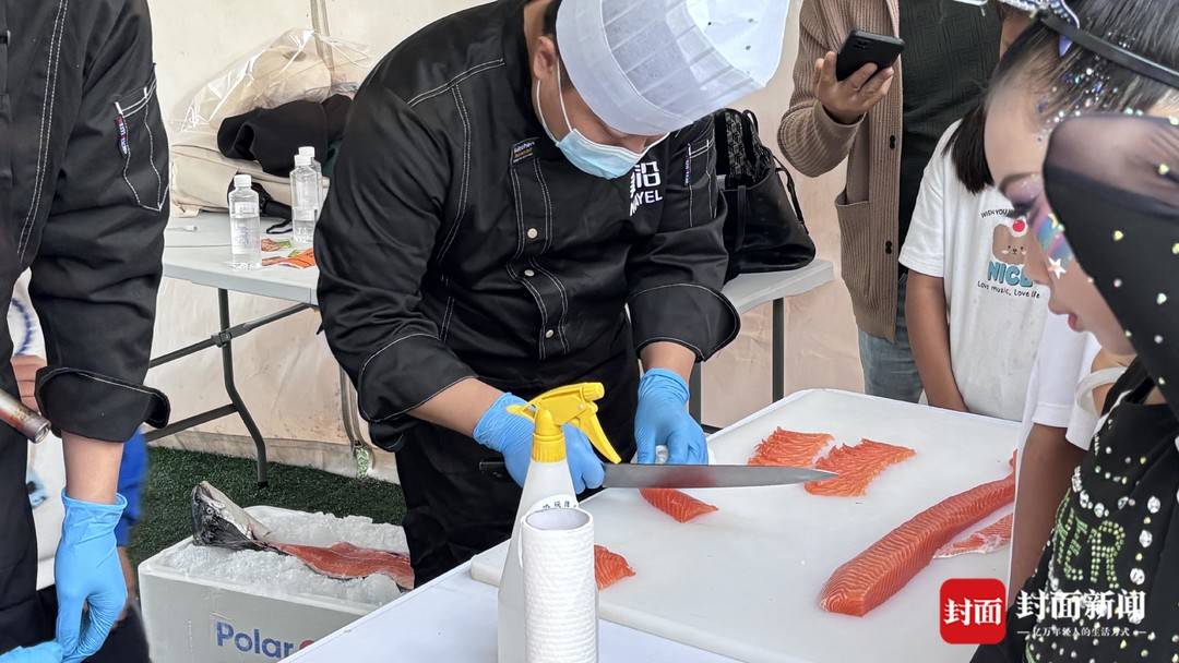 大气了, 费体验, tted 大气了, 费体验, tted